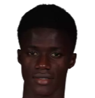 A.博扬
