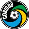 纽约宇宙队