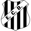 民主队
